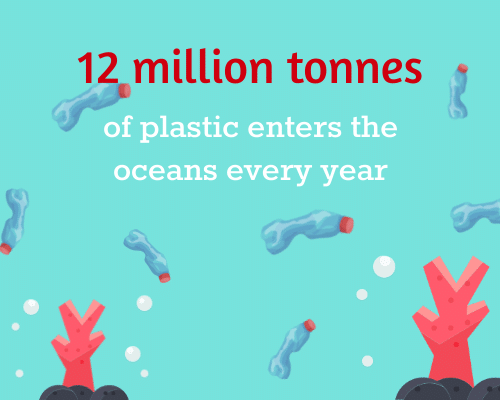 12 million tonnes of plastic waste in the ocean every year